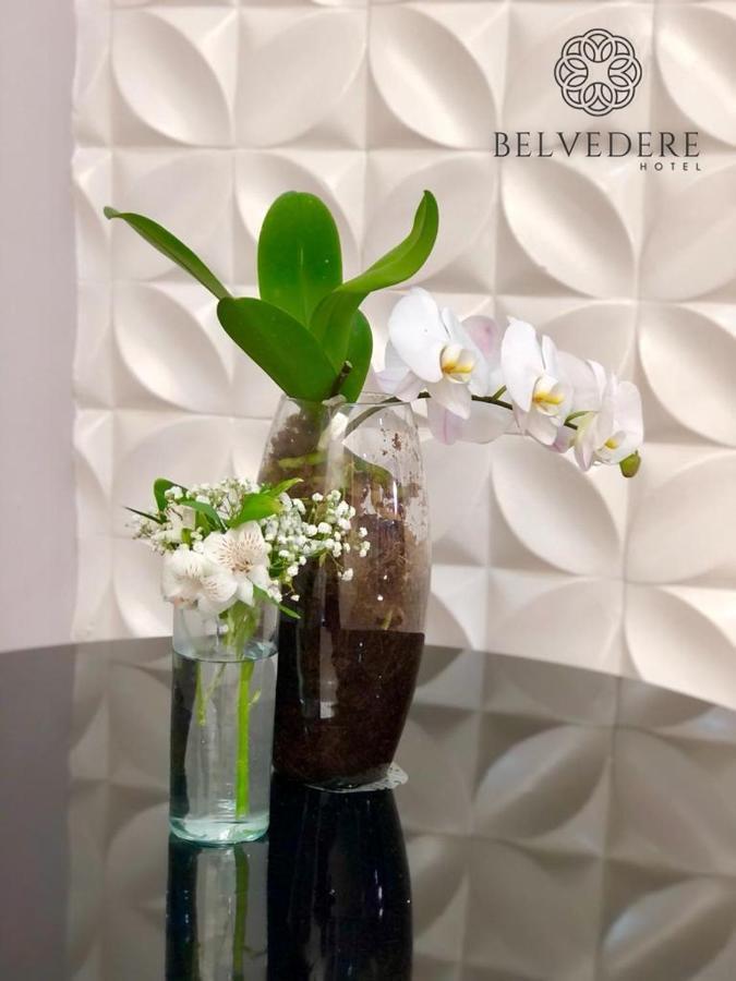 Belvedere - Fácil Acesso Hospital São Leopoldo E Faculdades Hotel Araras (Sao Paulo)